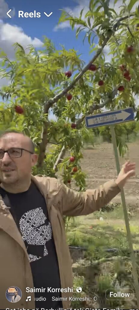 interpelanca-e-myzeqese-korreshi-s-ble-dot-qershi-zegjineja-eja-ne-roskovec